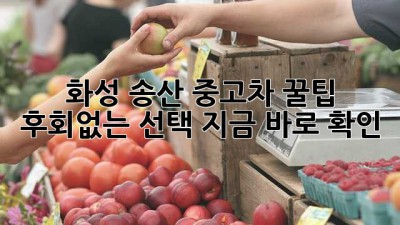 화성 송산 중고차 꿀팁🍯: 후회없는 선택, 지금 바로 확인!